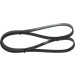 1 987 947 838 Keilrippenriemen 1 987 947 838 Keilrippenriemen