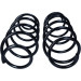 Fahrwerksfeder | 60-1090D Fahrwerksfeder | 60-1090D