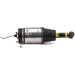 Arnott Luftfederbein HA | LAND ROVER RR Sport VDS 10 | AS-2762