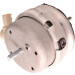 Lagerung, Motor | 37601 Lagerung, Motor | 37601