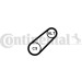 CONTINENTAL CTAM Keilrippenriemen 6PK799 ELAST