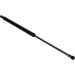Gasfeder, Koffer-/Laderaum | 12-0349 Gasfeder, Koffer-/Laderaum | 12-0349