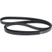1 987 948 401 Keilrippenriemen 1 987 948 401 Keilrippenriemen
