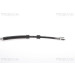Bremsschlauch | 815016142 Bremsschlauch | 815016142
