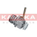 KAMOKA Hydraulikpumpe, Lenkung PP198