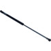 Gasfeder, Koffer-/Laderaum | 12-0069 Gasfeder, Koffer-/Laderaum | 12-0069