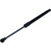 Gasfeder, Koffer-/Laderaum | 209256 Gasfeder, Koffer-/Laderaum | 209256