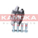 KAMOKA Radlagersatz | 5500070 KAMOKA Radlagersatz | 5500070
