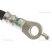 Bremsschlauch | 815013350 Bremsschlauch | 815013350