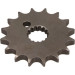 AFAM Ritzel 16 Zähne | für 428 | 85200-16 AFAM Ritzel 16 Zähne | für 428 | 85200-16