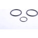 Wasserkühler PKW | MERCEDES W211 E350 AUT 02-09 | 67105 Wasserkühler PKW | MERCEDES W211 E350 AUT 02-09 | 67105