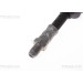Bremsschlauch | 815015231 Bremsschlauch | 815015231