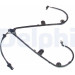 DELPHI ABS Sensor | SS20131