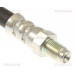 Bremsschlauch | 815011244 Bremsschlauch | 815011244