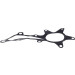 VALEO Wasserpumpe | 529520 VALEO Wasserpumpe | 529520