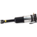 Arnott Luftfederbein HA li | AUDI A8 Normal Fahrwerk 02-10 | AS-2959 Arnott Luftfederbein HA li | AUDI A8 Normal Fahrwerk 02-10 | AS-2959