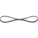 Keilrippenriemen FORD Elastic 1987946118