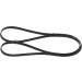Keilrippenriemen | CHEVROLET,OPEL | 1987946086 Keilrippenriemen | CHEVROLET,OPEL | 1987946086