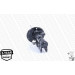 MONROE OESpectrum VA re | MAZDA 6 12 | 72938ST MONROE OESpectrum VA re | MAZDA 6 12 | 72938ST