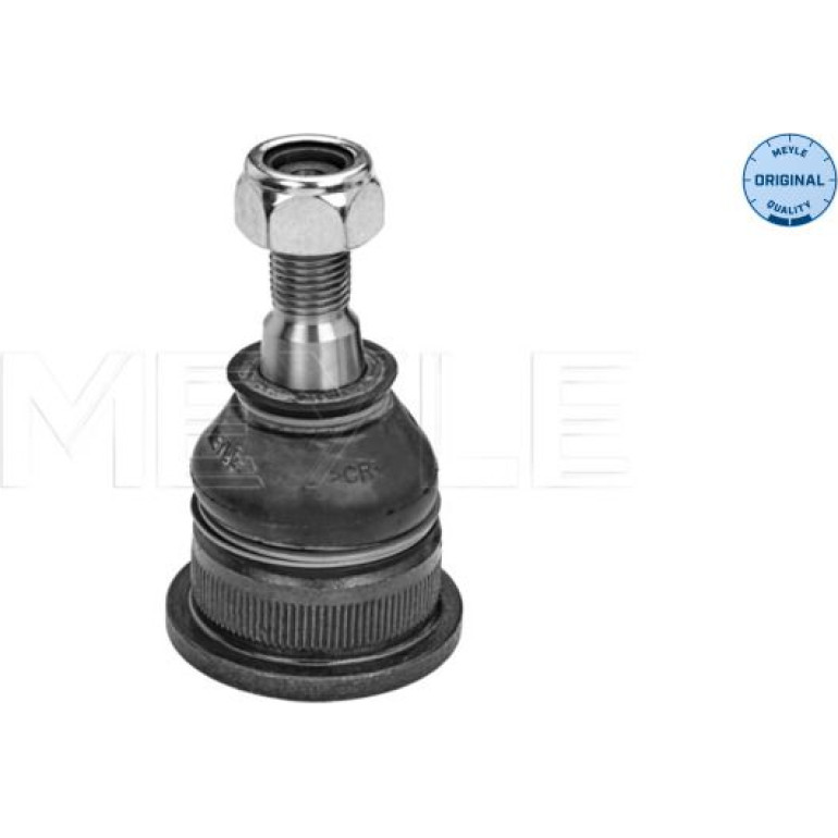 72 303 007 Traggel. VA unten li/re 16-16 010 0001