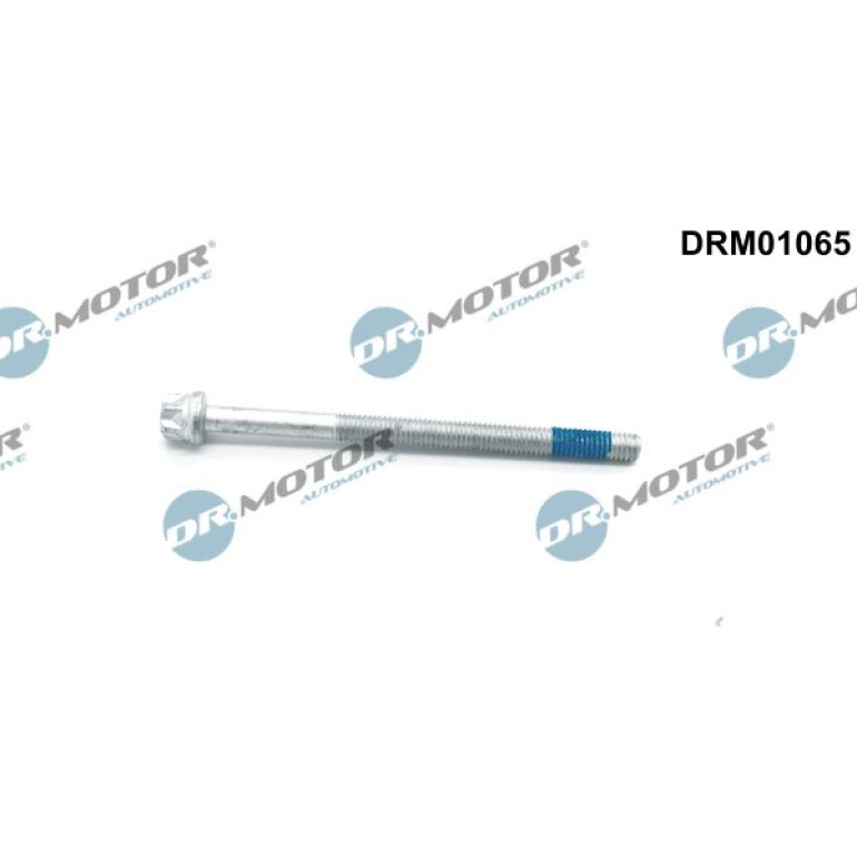 DR.MOTOR Schraube, Einspritzdüsenhalter DRM01065 DR.MOTOR Schraube, Einspritzdüsenhalter DRM01065