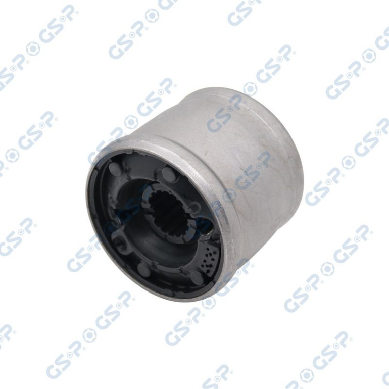 GSP Lagerbuchse, Blattfeder 516450