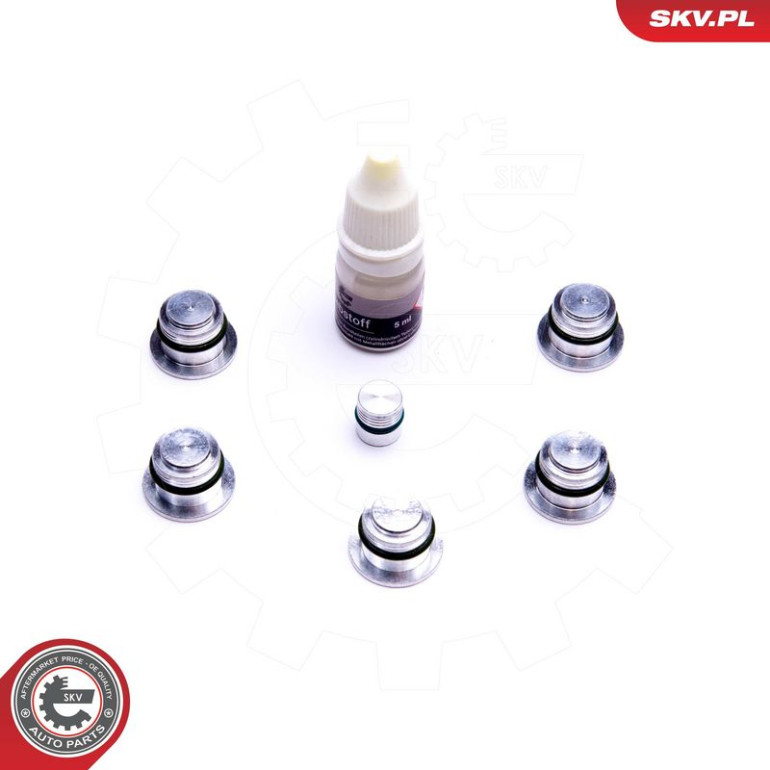ESEN SKV Reparatursatz, Saugrohrmodul 49SKV533