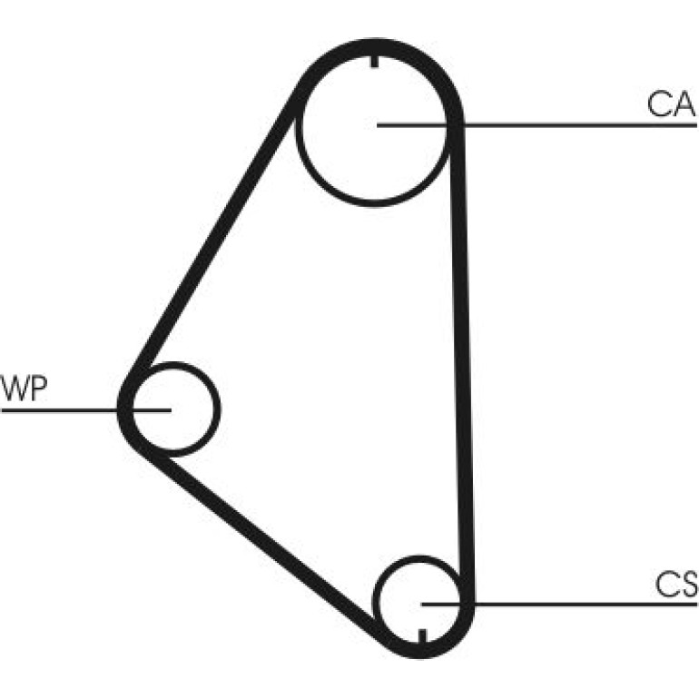 Continental CTAM Timing-Kit CT558WP1 Continental CTAM Timing-Kit CT558WP1