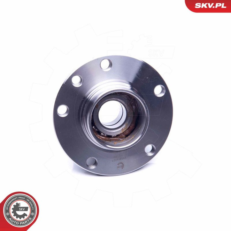 ESEN SKV Radlagersatz 29SKV221 ESEN SKV Radlagersatz 29SKV221
