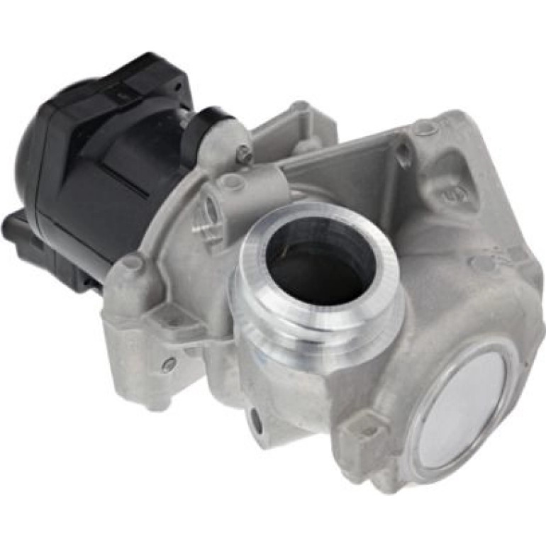 AGR-Ventil 700474 AGR-Ventil 700474