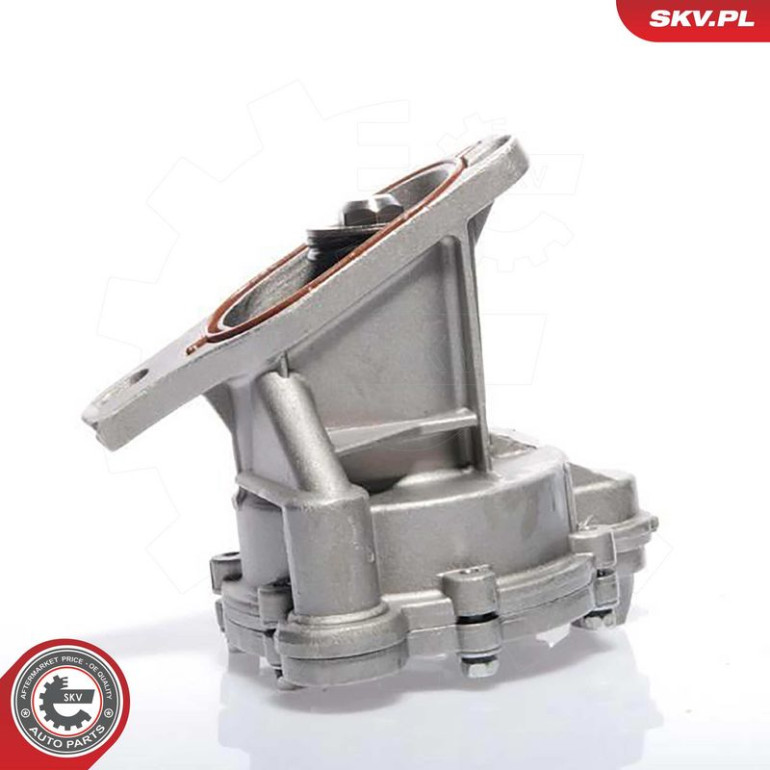 SKV GERMANY Vakuumpumpe 18SKV009 SKV GERMANY Vakuumpumpe 18SKV009