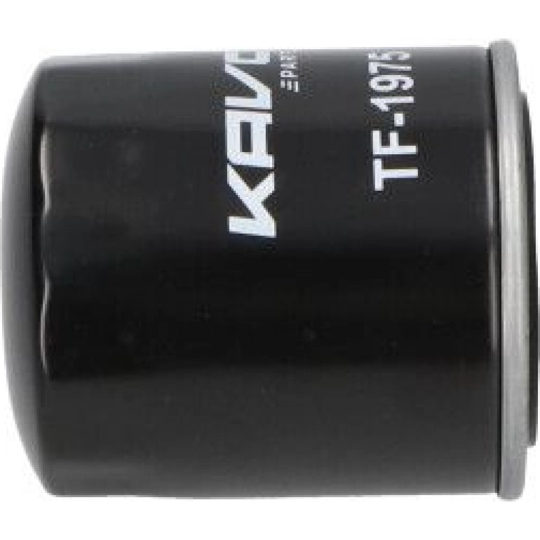 AMC Kraftstofffilter PKW TF-1975 AMC Kraftstofffilter PKW TF-1975