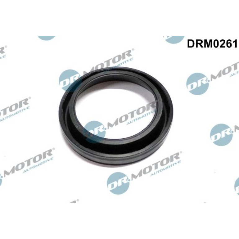 DR.MOTOR Dichtungssatz Einspritzdüse DRM0261 DR.MOTOR Dichtungssatz Einspritzdüse DRM0261
