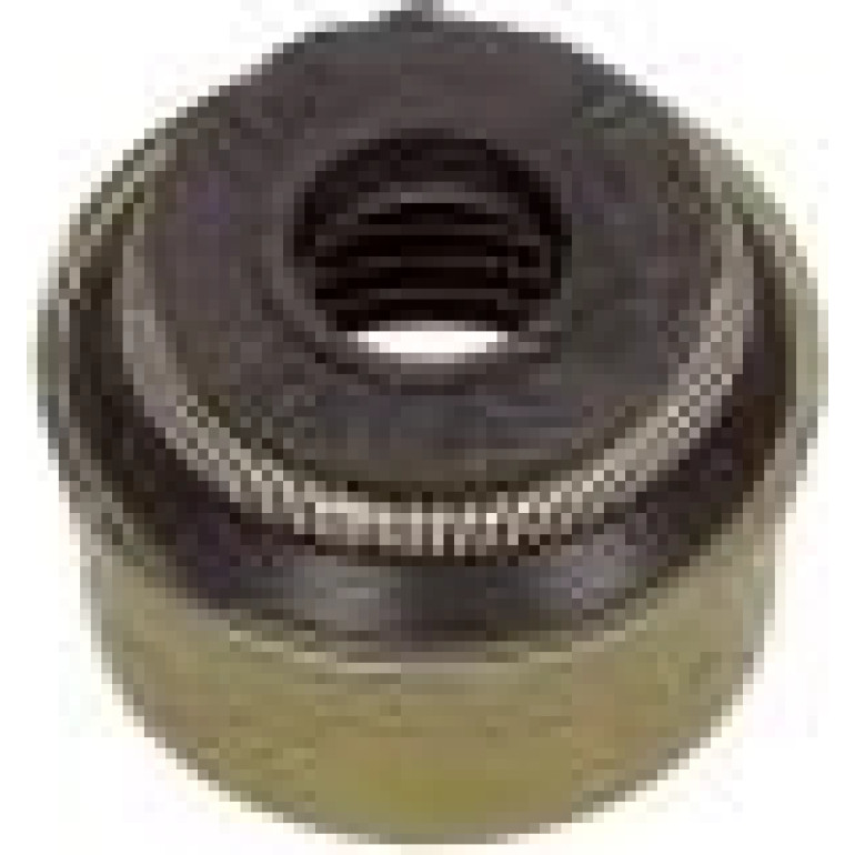 Dichtung Ventilschaft(8x/Mot) 70-34223-00 Dichtung Ventilschaft(8x/Mot) 70-34223-00