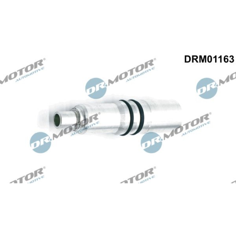 H Lse, D Senhalter DRM01163 H Lse, D Senhalter DRM01163