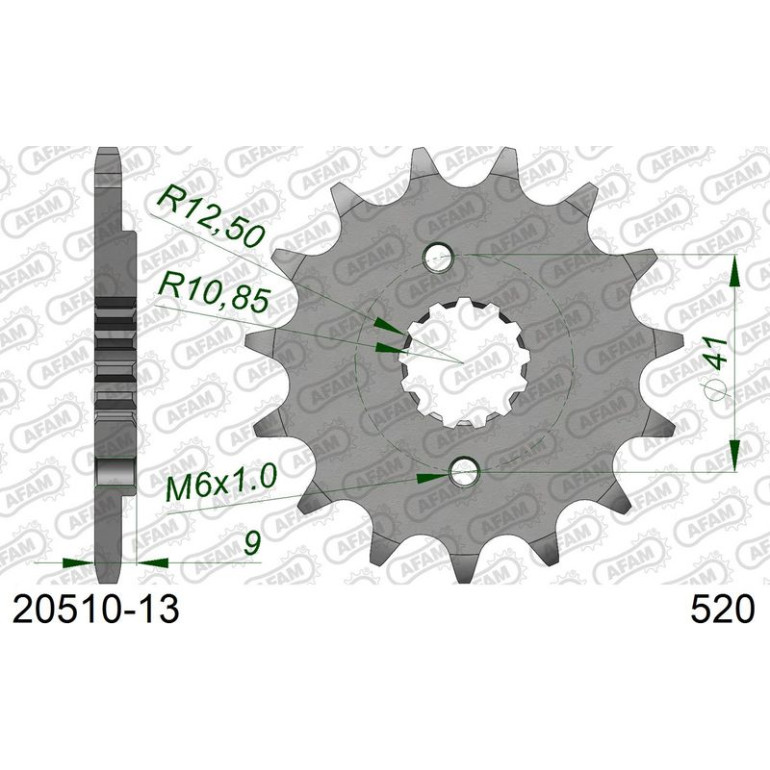 AFAM Ritzel 13 Zähne 20510-13 AFAM Ritzel 13 Zähne 20510-13