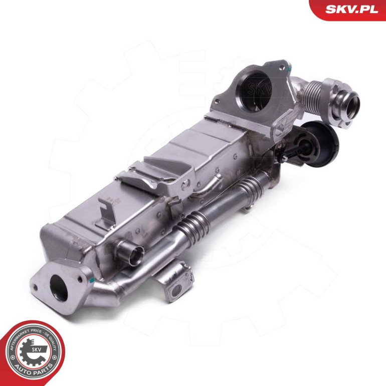 ESEN SKV AGR-Ventil 14SKV239