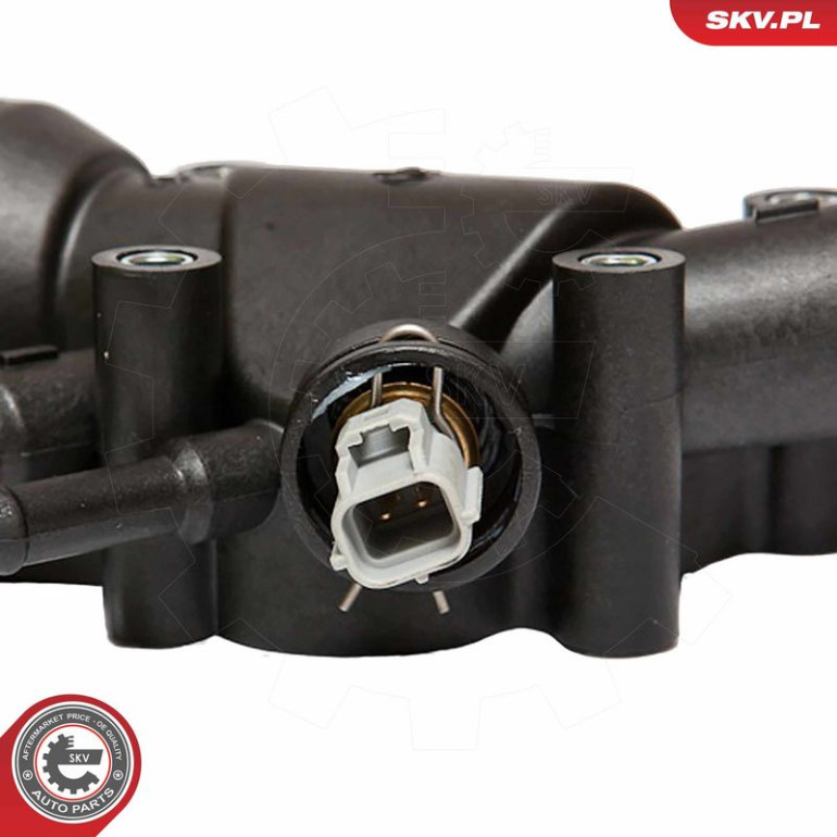 SKV GERMANY Thermostat 20SKV017