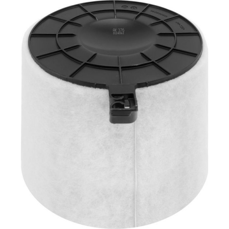 FILTRON Luftfilter AK 376