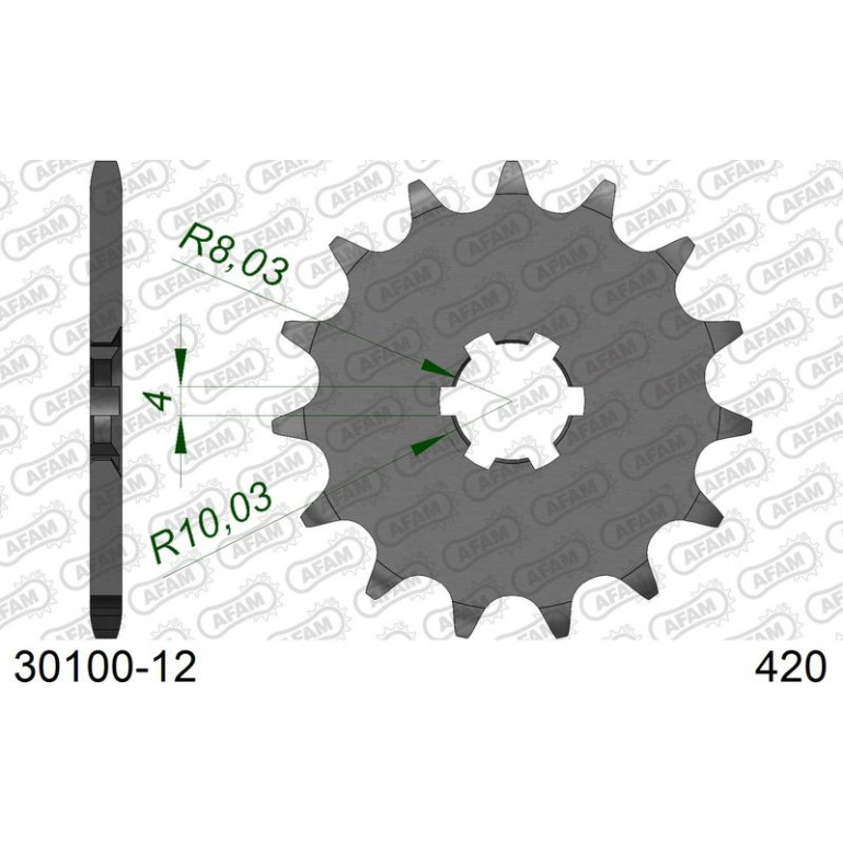 AFAM Ritzel 12 Zähne 30100-12 AFAM Ritzel 12 Zähne 30100-12
