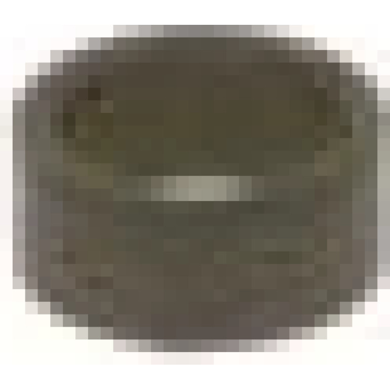 Dichtring F 00V H05 102 Dichtring F 00V H05 102