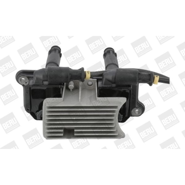 BorgWarner (BERU) Zündspule ZSE162 BorgWarner (BERU) Zündspule ZSE162