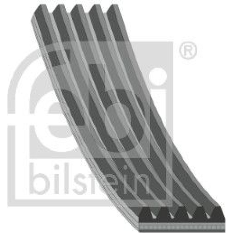 FEBI BILSTEIN Rillenriemen 28856 FEBI BILSTEIN Rillenriemen 28856