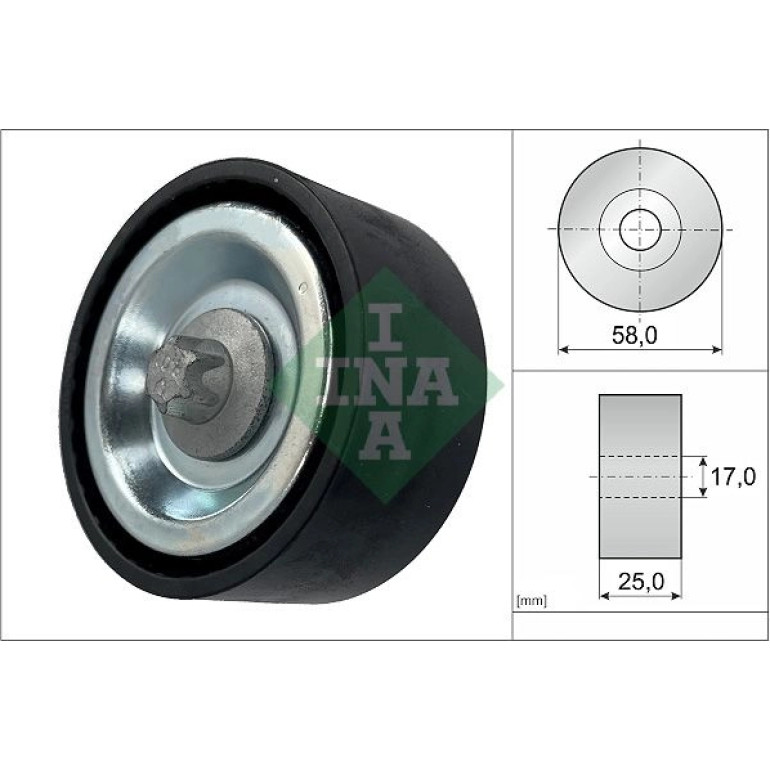 Umlenk-/Führungsrolle, Keilrippenriemen 532 0669 10 Umlenk-/Führungsrolle, Keilrippenriemen 532 0669 10