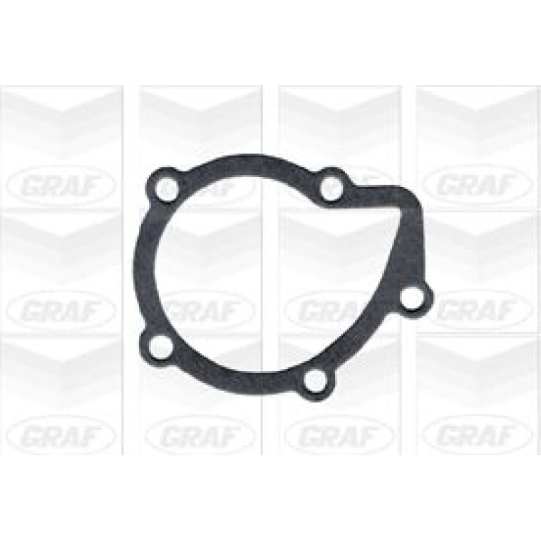 PA 256 Wasserpumpe PA256