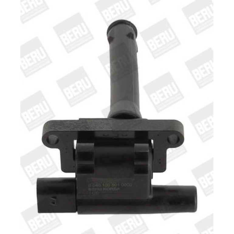 BorgWarner (BERU) Zündspule ZS501 BorgWarner (BERU) Zündspule ZS501