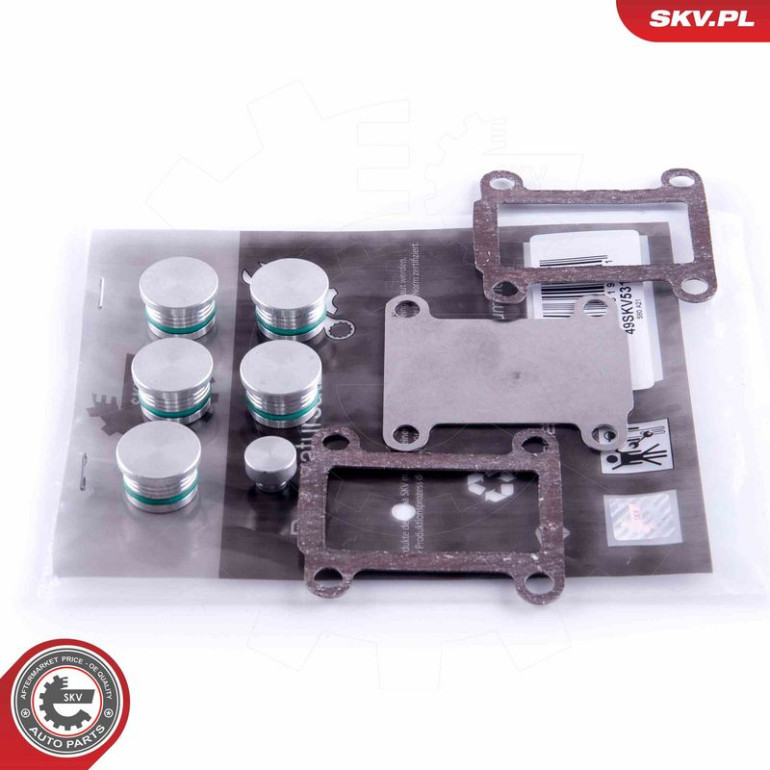 ESEN SKV Reparatursatz, Saugrohrmodul 49SKV531