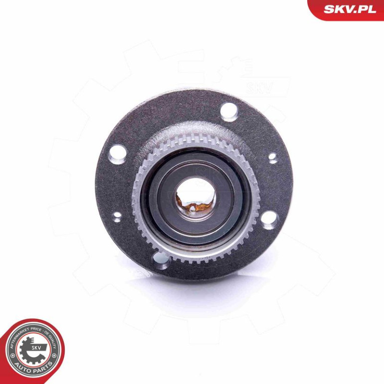 ESEN SKV Radlagersatz 29SKV195 ESEN SKV Radlagersatz 29SKV195