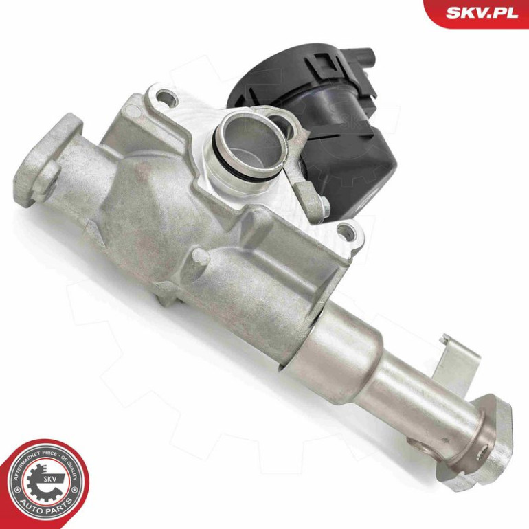 ESEN SKV AGR-Ventil 14SKV287 ESEN SKV AGR-Ventil 14SKV287