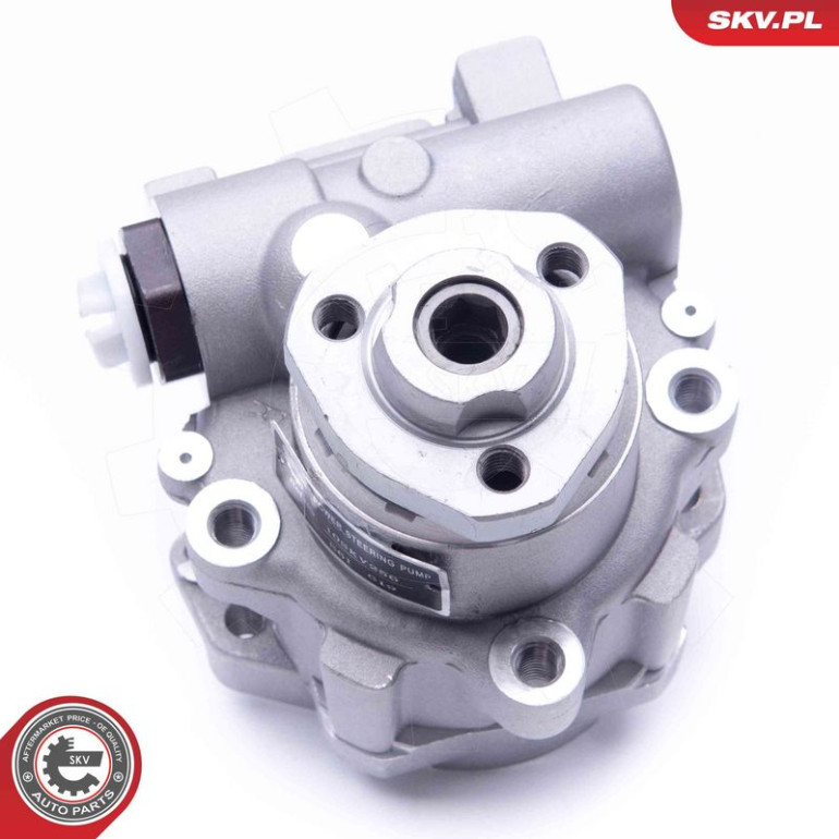 SKV GERMANY Hydraulikpumpe 10SKV256 SKV GERMANY Hydraulikpumpe 10SKV256